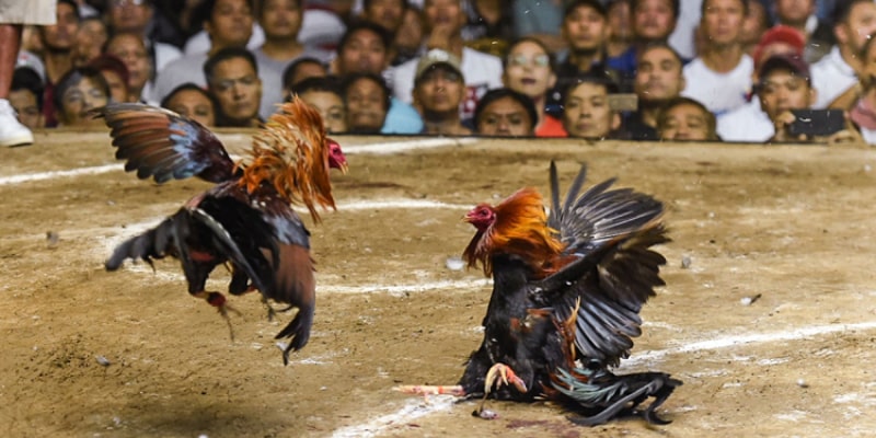 Thỏa mãn đam mê an toàn tuyệt đối